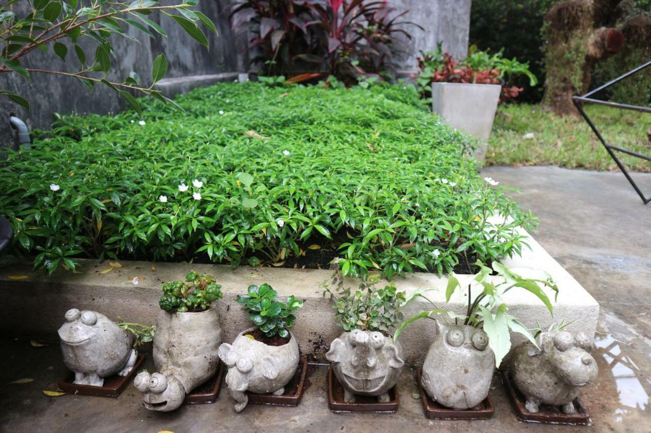 Hostel Maya Bed And Food Chiang Mai